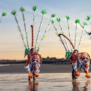 Shademakers UK tigers on Sandown beach