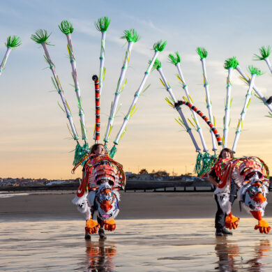 Shademakers UK tigers on Sandown beach