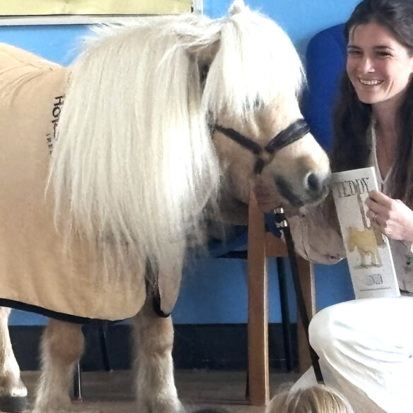 Author Alice Goring with Teddy the Shetland Pony at Queensgate Primary School, East Cowes.