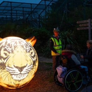Tiger Illuminations - a large balon with a tiger face on it illunimated from the inside