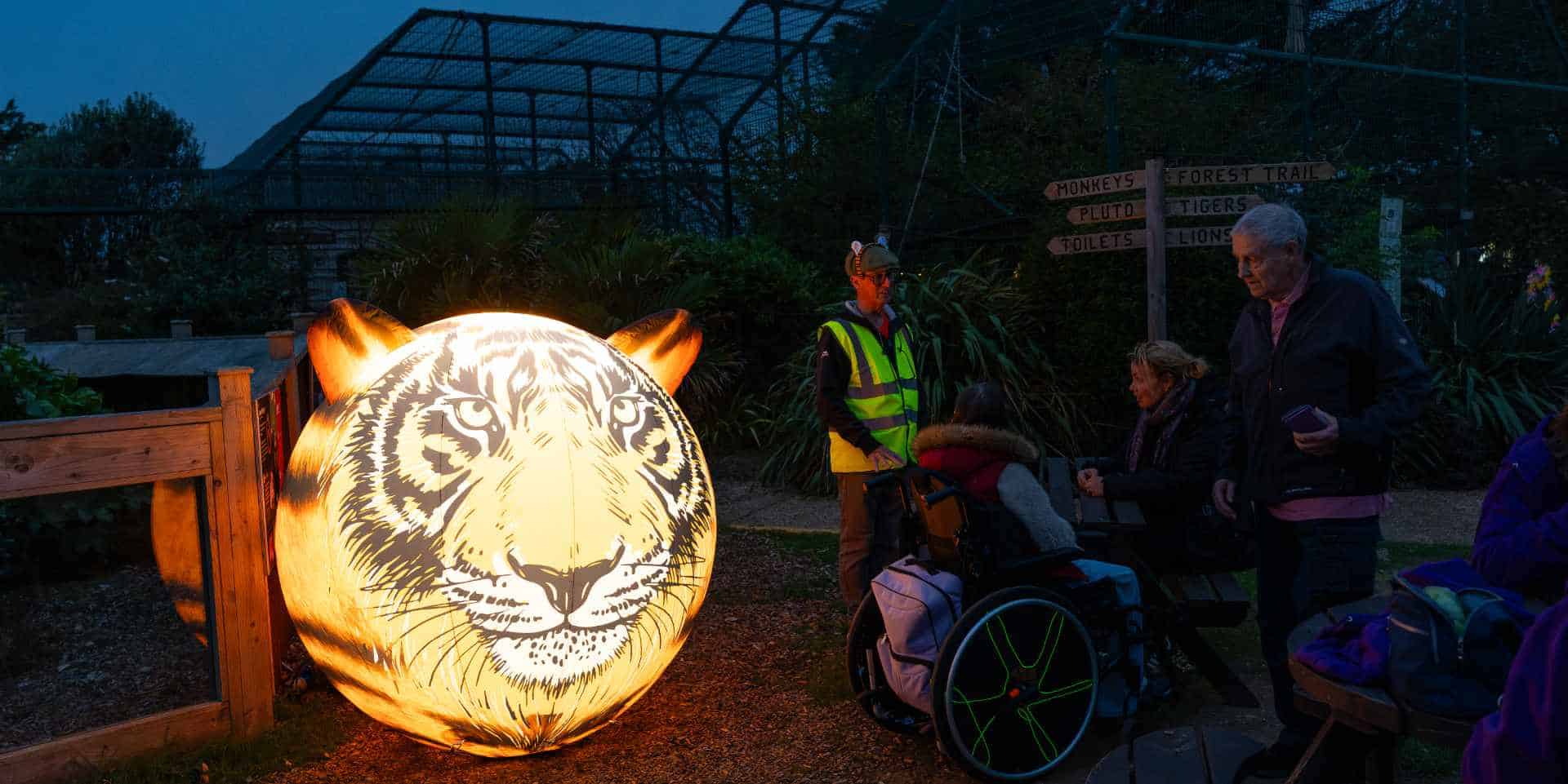 Tiger Illuminations - a large balon with a tiger face on it illunimated from the inside