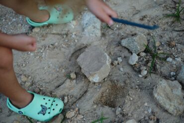 a girl fossil hunting on the beach