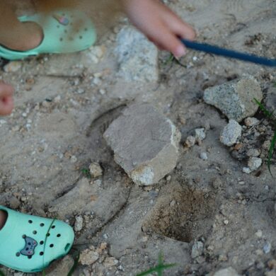 a girl fossil hunting on the beach