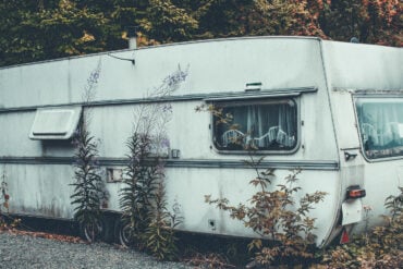 abandoned caravan surrounded by vegetation