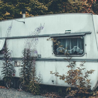 abandoned caravan surrounded by vegetation