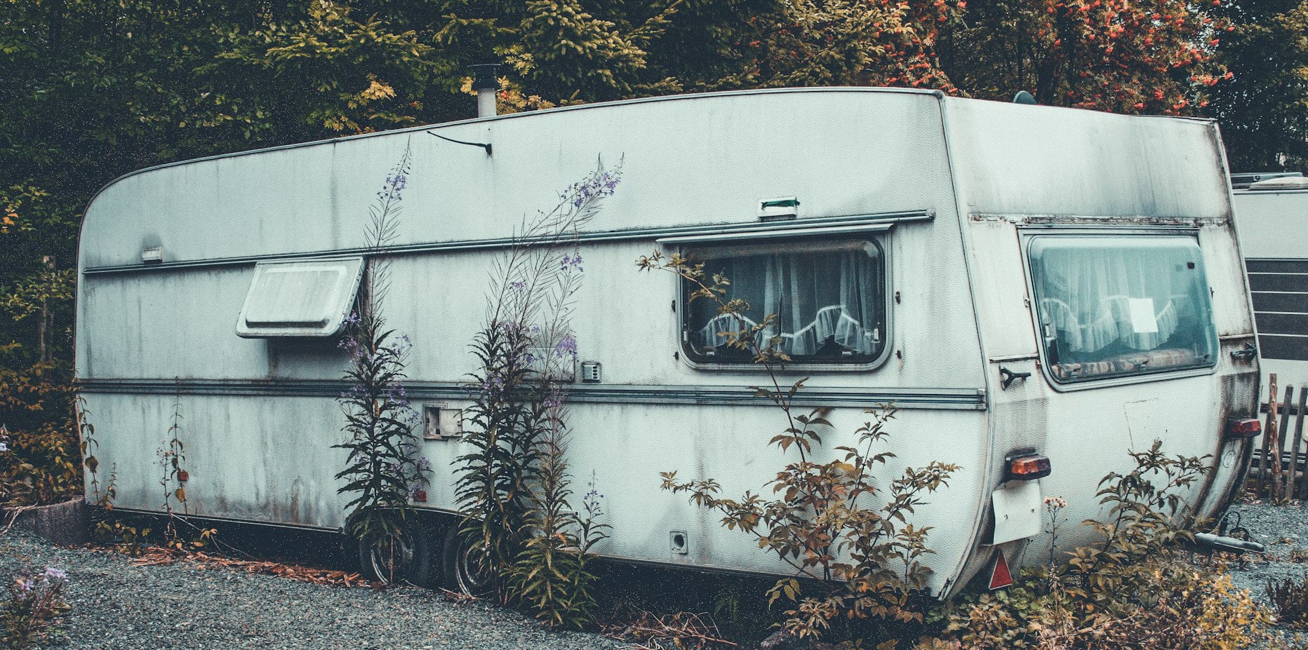 abandoned caravan surrounded by vegetation