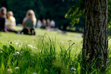 people sitting on the grass in a park