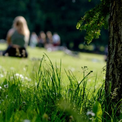 people sitting on the grass in a park