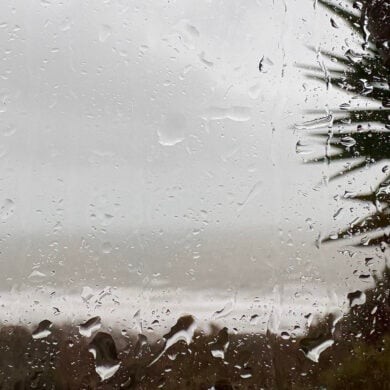 Looking at a rainy scene through a house window