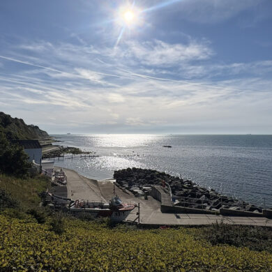 Looking down onto wheelers bay